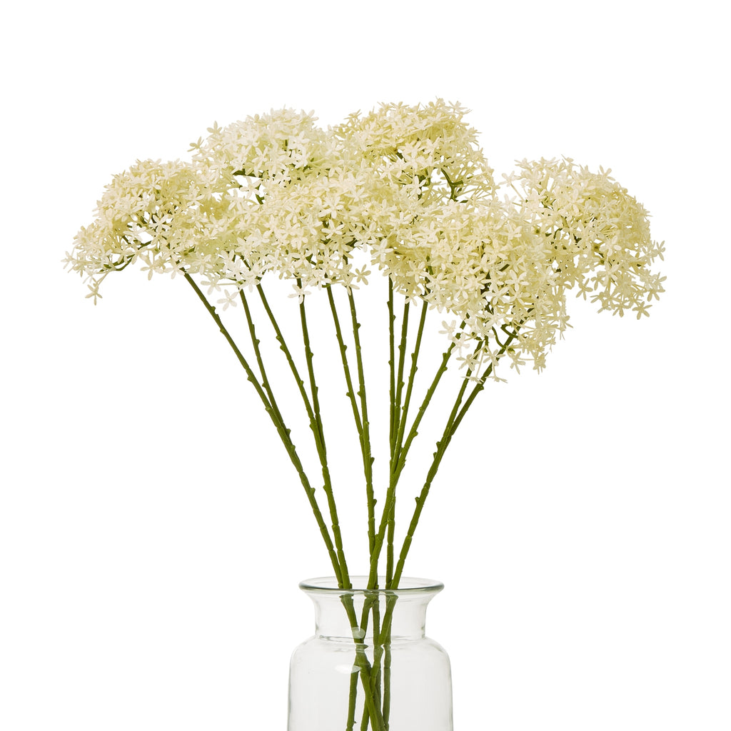 Several cream botanical sprays arranged in a clear glass vase, with green stems fanning out beneath a broad crown of small flowers.