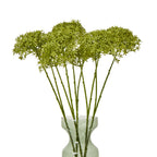 Several green botanical sprays arranged at varied heights in a translucent green vase, with clustered heads spread across the top.