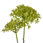 Close-up of small green florets and buds, showing their textured surfaces and the open branching beneath the clusters.