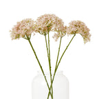 Several pale pink botanical sprays arranged at different angles in a clear glass vase, with their green stems visible through the glass.
