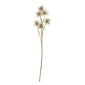 Full Airy Curlhead artificial botanical spray against white, with a long brown stem branching into pale, loosely rounded heads.
