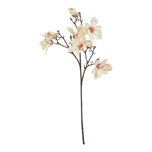 Full view of an artificial flower stem with a long bare dark brown base, branching cream and pale apricot blooms, blush accents and tan buds.