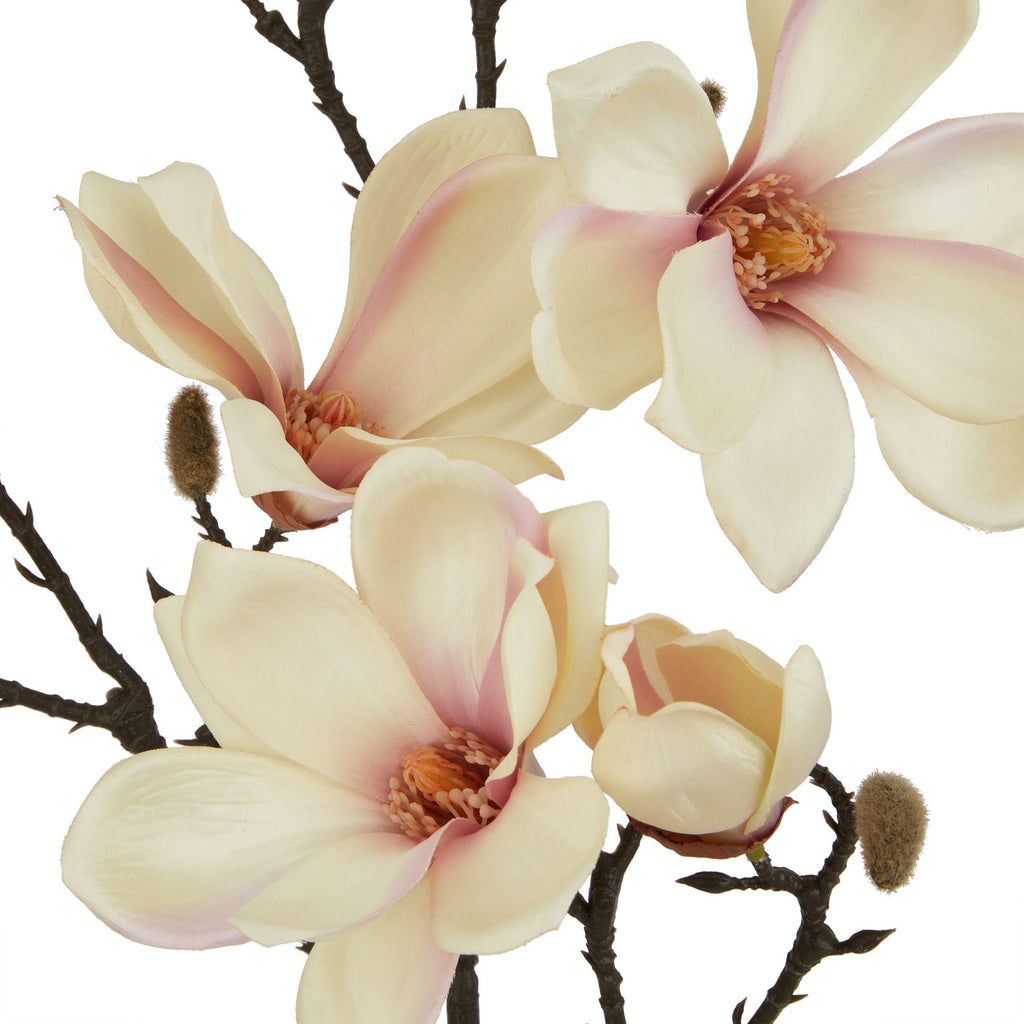 Close-up of cream artificial flowers with blush-pink shading, curled petals and peach-toned centres beside fuzzy-looking tan buds on dark branches.