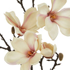 Close-up of cream artificial flowers with blush-pink shading, curled petals and peach-toned centres beside fuzzy-looking tan buds on dark branches.