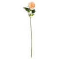 Apricot artificial rose stem on a white background, with an open peach and cream ruffled bloom, veined green leaves and a long slender green stem.