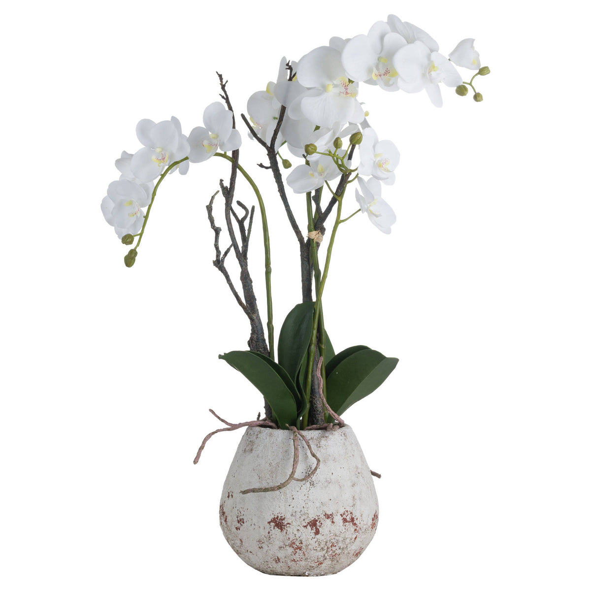 Full Arched Bloom artificial arrangement with arching white flowers, green leaves and dark stems in a pale mottled pot against white.