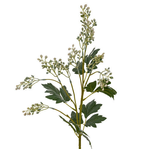 Closer view of the spray's branching upper section, showing green-and-cream buds above deeply lobed leaves.