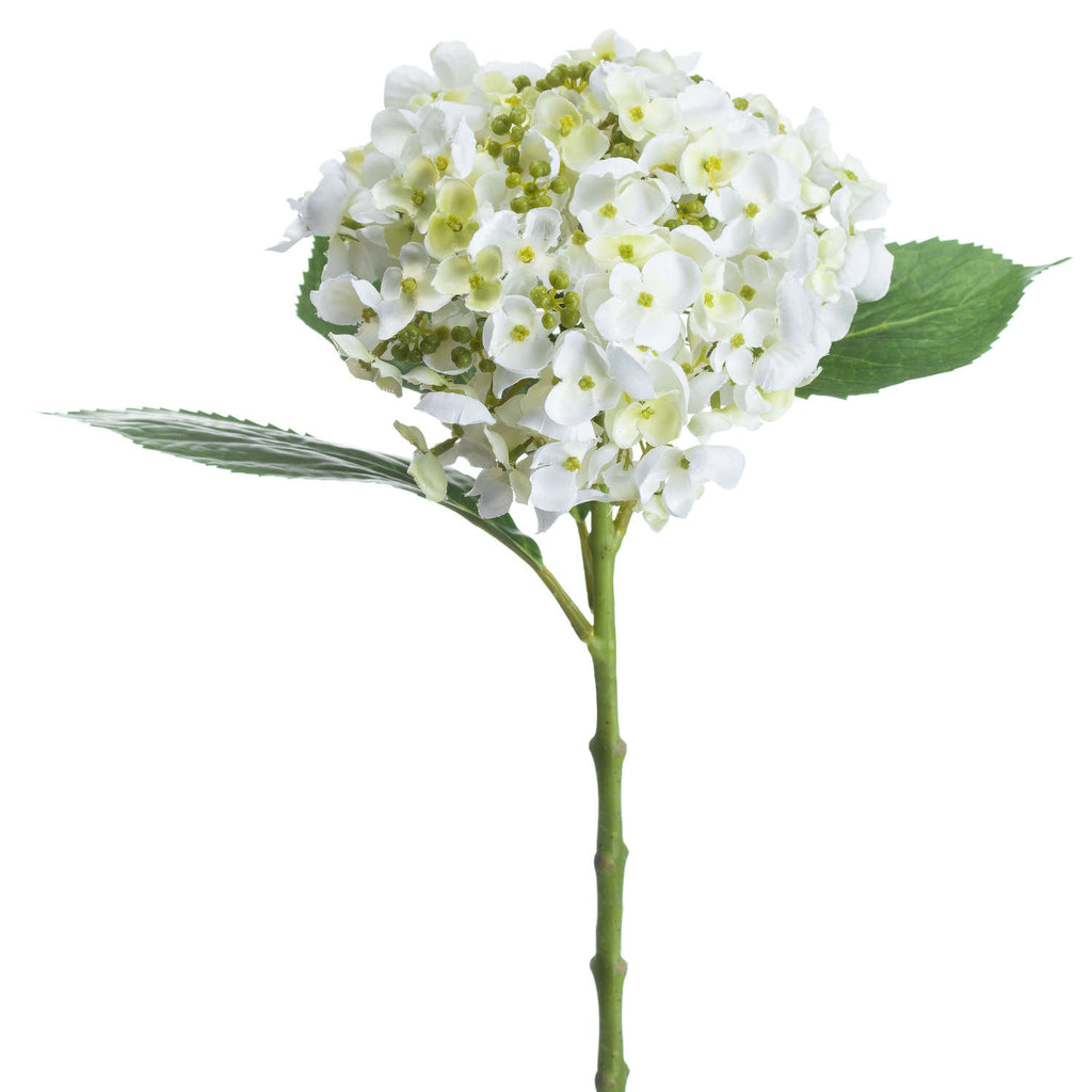 Close-up of the artificial hydrangea flowerhead showing white and ivory florets, green bead-like buds and veined, serrated leaves on either side.