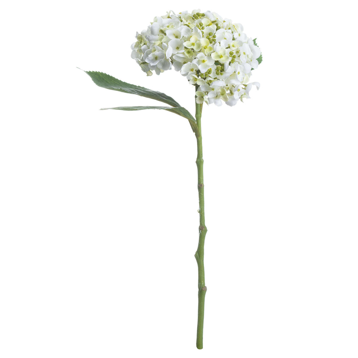 Full artificial hydrangea stem on a white background, with a rounded white and ivory flowerhead, small green buds and serrated leaves extending to the left.