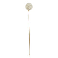 Artificial flower stem against a white background, with a cream-white spherical head above a long, slender tan-olive stem.