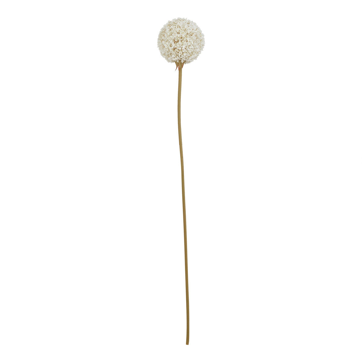 Artificial flower stem against a white background, with a cream-white spherical head above a long, slender tan-olive stem.