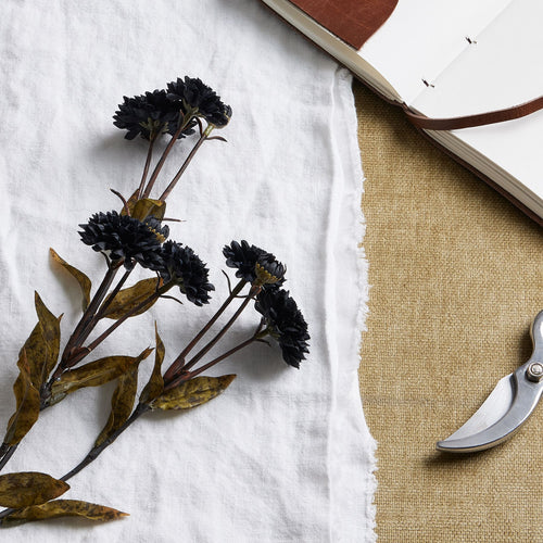 Close view of layered black flower heads and mottled yellow-brown leaves laid on white cloth, beside an open notebook and part of a pair of secateurs.