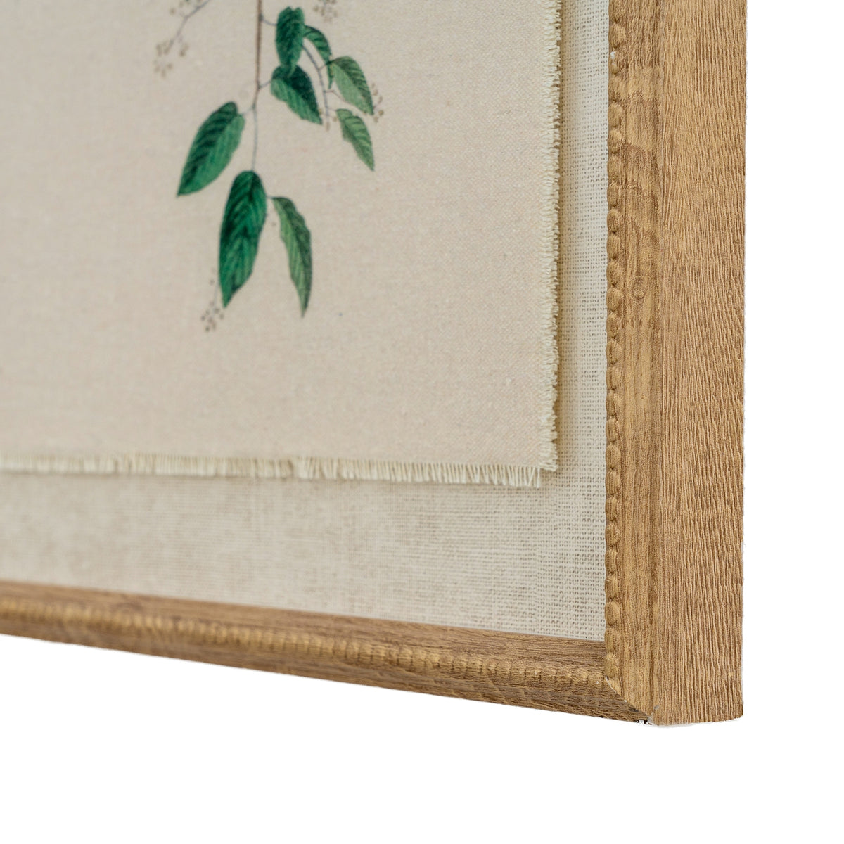 Angled close-up of the print's lower right corner, showing green leaves, a fringed-looking illustration edge, pale textured surround and beaded tan-gold frame.
