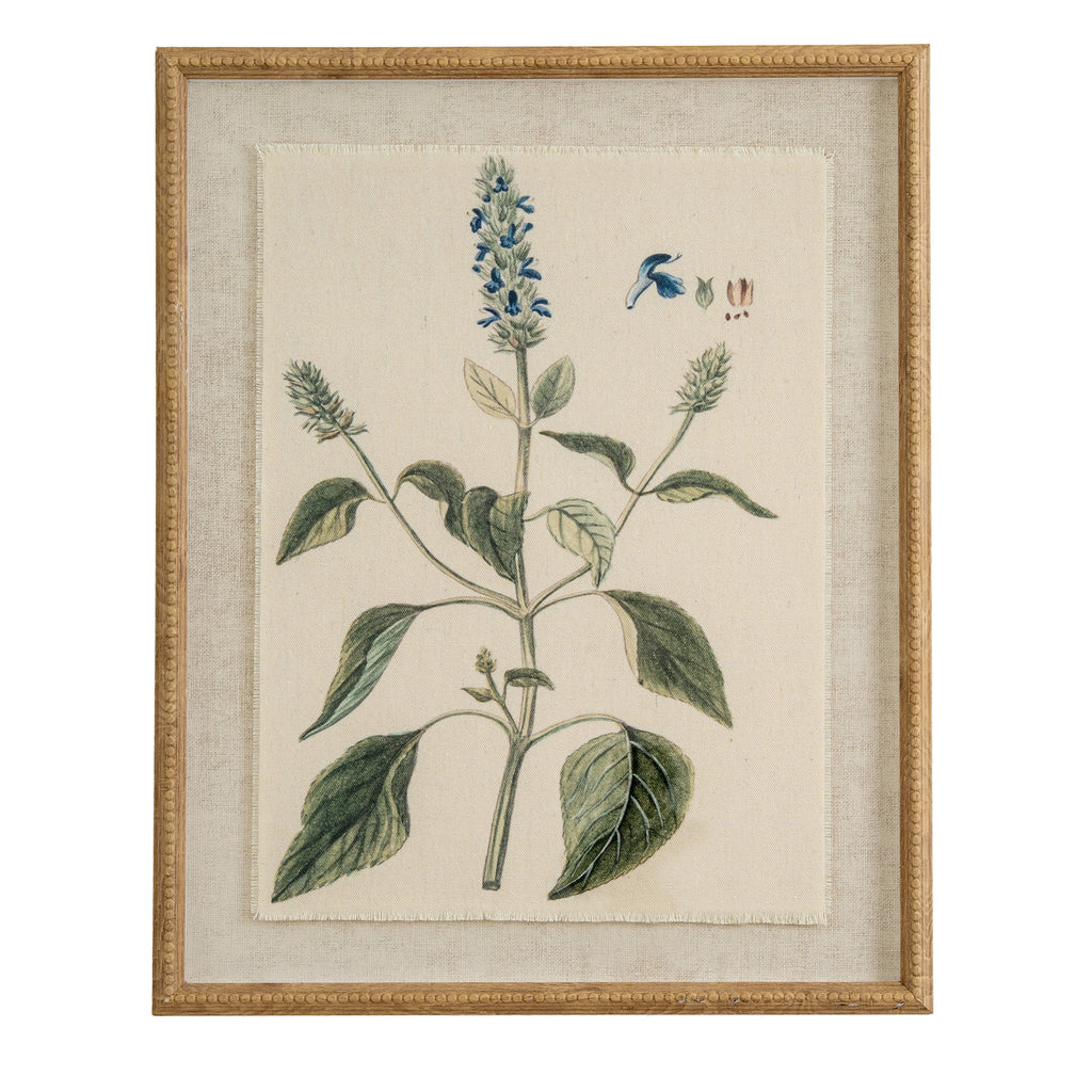 Front view of a portrait botanical print showing blue blossoms and green leaves, with small plant details, a pale textured surround and a tan-gold beaded frame.