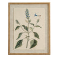 Front view of a portrait botanical print showing blue blossoms and green leaves, with small plant details, a pale textured surround and a tan-gold beaded frame.