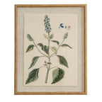 Front view of a portrait botanical print showing blue blossoms and green leaves, with small plant details, a pale textured surround and a tan-gold beaded frame.