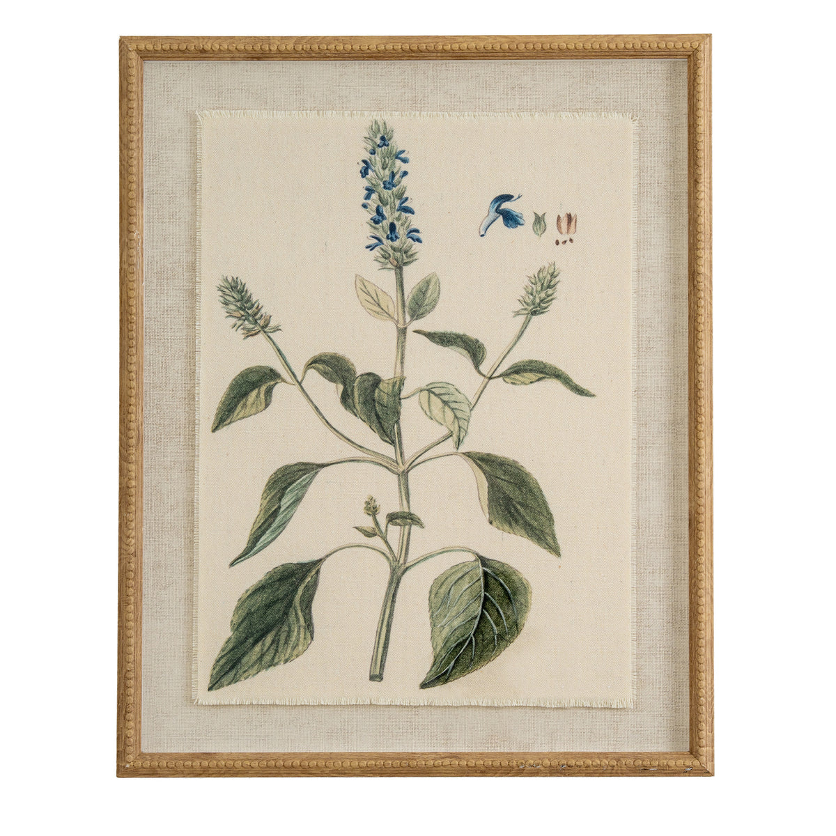 Front view of a portrait botanical print showing blue blossoms and green leaves, with small plant details, a pale textured surround and a tan-gold beaded frame.