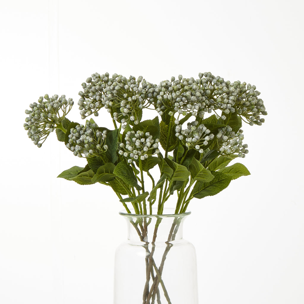 Several artificial hydrangea sprays arranged in a clear vase, showing pale bud clusters above broad green leaves.