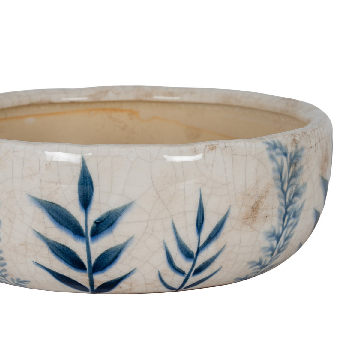 Close-up of blue leaves and fine crackle lines on the bowl planter, showing beige-brown surface marks, the rounded rim and warm beige interior.