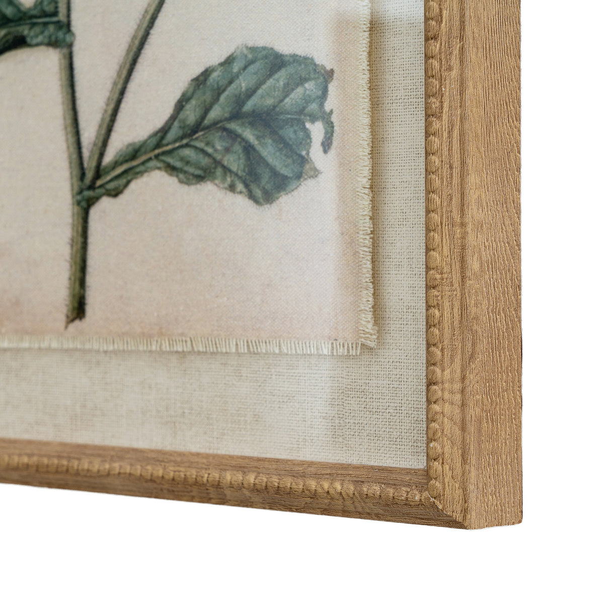 Close view of the print's lower right corner, showing a green leaf, the fine fringe-like edge of the illustration, textured pale surround and beaded frame.