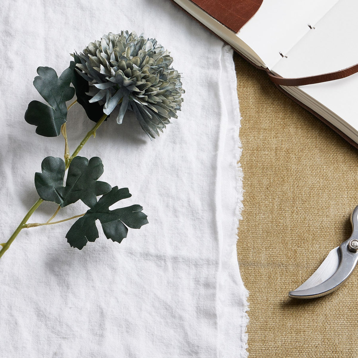 Close view of the layered blue-green bloom and dark leaves resting on white cloth, beside an open brown notebook and part of a pair of secateurs.
