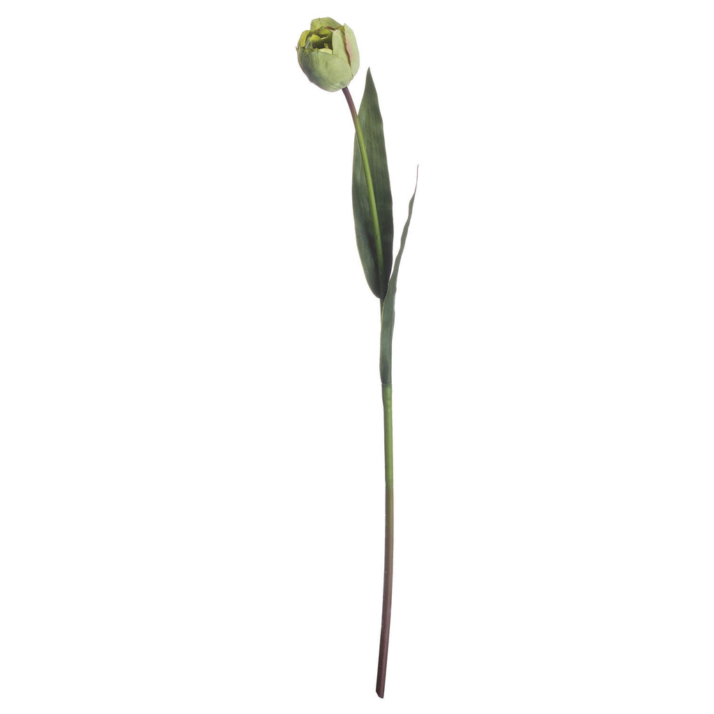Full view of the artificial tulip stem with a pale green bud, long dark-green leaves and a slim green-brown stalk against white.