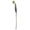 Full view of the artificial tulip stem with a pale green bud, long dark-green leaves and a slim green-brown stalk against white.