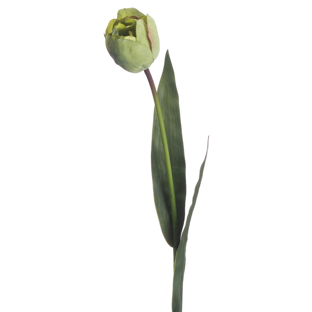 Close-up of the layered pale green tulip bud with faint blush edges, beside a pointed dark-green leaf and the upper stem.