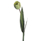 Close-up of the layered pale green tulip bud with faint blush edges, beside a pointed dark-green leaf and the upper stem.