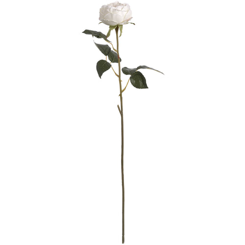 Full view of an artificial ivory flower on a long green-brown stem with dark green serrated leaves against white.