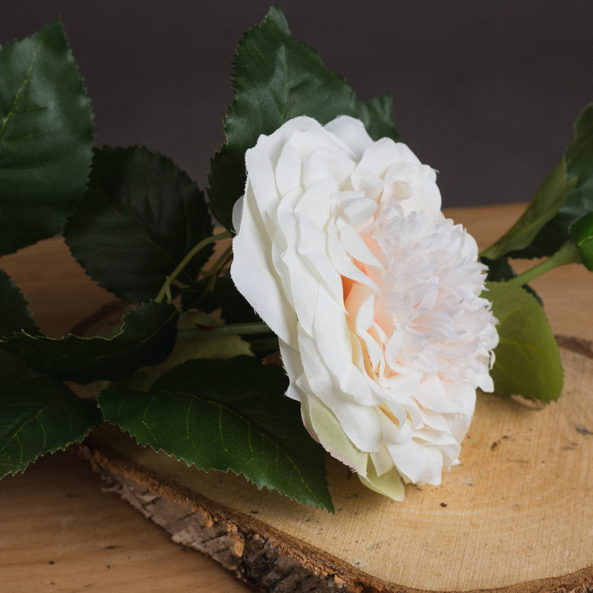 Side view of the white artificial rose resting on a wooden slice, with curled petals, a pale pink centre and dark green leaves.