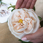 Hands holding an artificial rose bloom, showing curled pale petals and a yellow centre above a wooden surface.