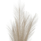 Upper section of the cream plume showing a tall central spray and shorter feathery branches fanning to either side.