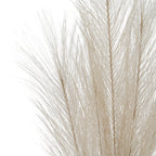 Close-up of overlapping cream strands radiating from the plume's slender brown-toned branches.