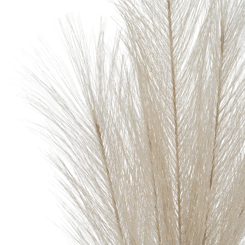 Close-up of overlapping cream strands radiating from the plume's slender brown-toned branches.