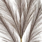 Close-up of the plume's central stem, with overlapping sprays of fine dark strands extending to either side.