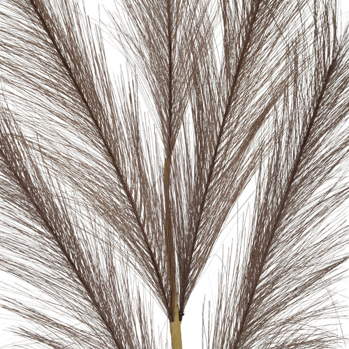 Close-up of the plume's central stem, with overlapping sprays of fine dark strands extending to either side.