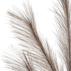 Detail of the upper branching sprays, showing wispy strands tapering to uneven tips against a white background.