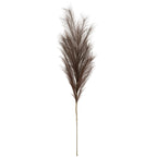 Full view of an artificial foliage stem with a long slender stalk and a large branching feathery plume against white.