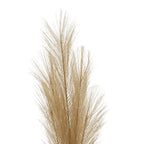 Close view of the upper beige plume, showing feathery branches rising to different heights and fine strands spreading outwards.