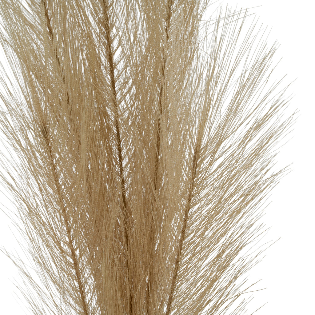 Detail of overlapping beige plume branches, with many fine strands fanning diagonally from their narrow centres.