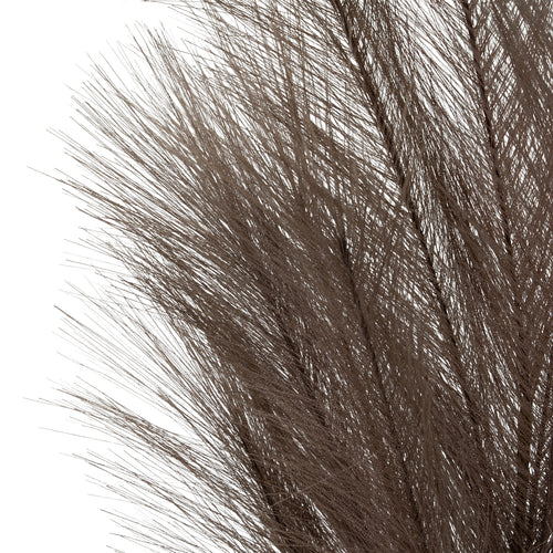 Close-up of the plume's densely overlapping grey-brown strands, with fine sprays extending to the left.