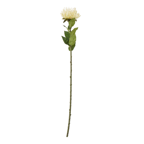 Full-length cream artificial protea stem with a broad flower head and green leaves against a white background.