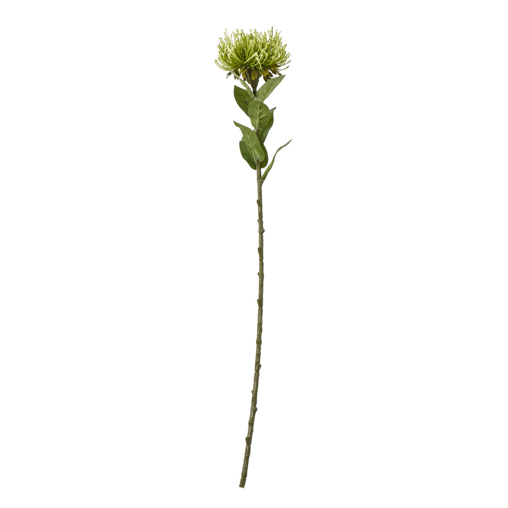 Full-length green artificial protea stem with a broad flower head and pointed leaves against white.