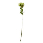 Full-length green artificial protea stem with a broad flower head and pointed leaves against white.