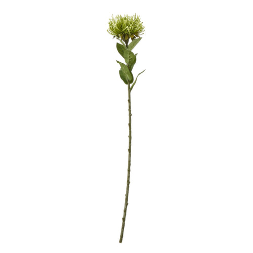 Full-length green artificial protea stem with a broad flower head and pointed leaves against white.