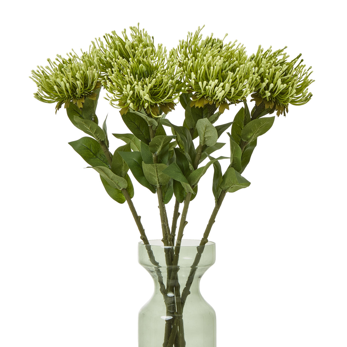 Several green artificial protea stems arranged in a pale green transparent vase against a white background.