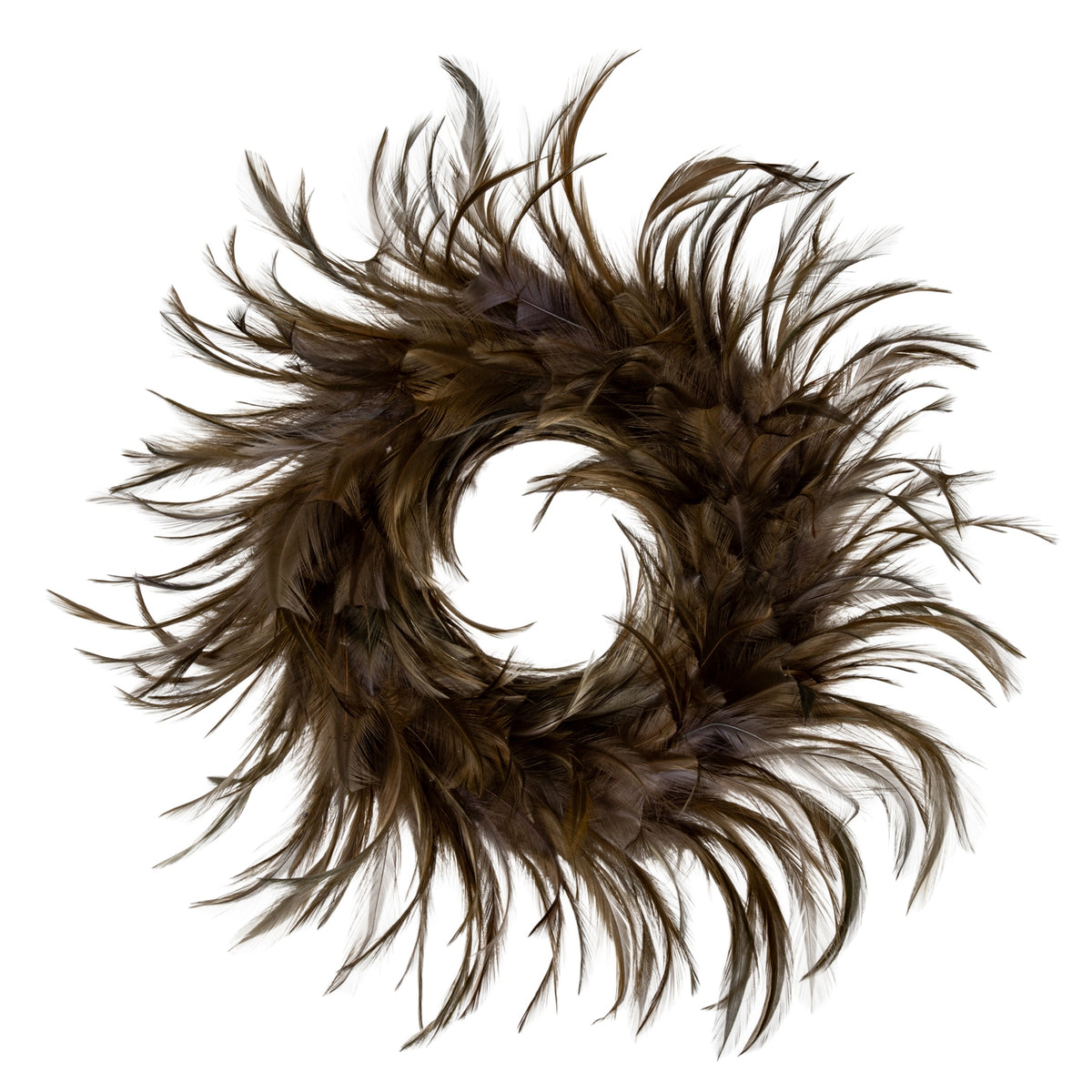 Full view of a brown decorative ring with an open centre and long feather-like tips spreading around its edge.