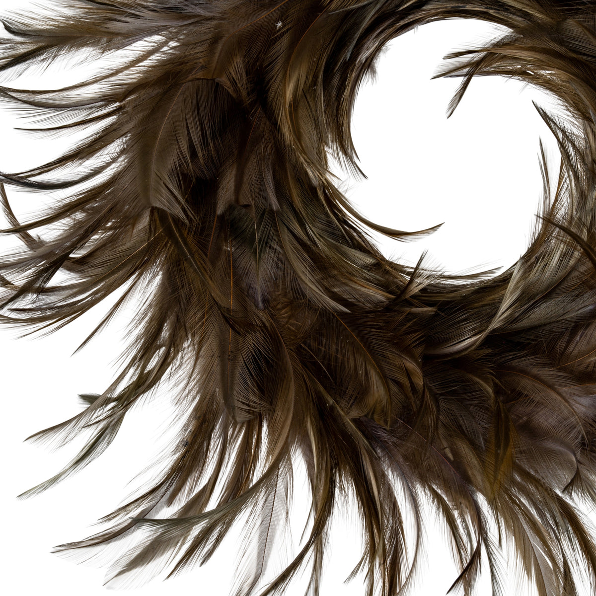 Close-up of the brown ring showing overlapping feather-like shapes and fine curved tips around the central opening.