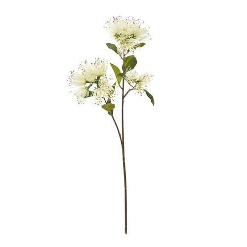 Full view of an artificial flower spray with cream filament blooms, brown tips and oval green leaves on a long branched brown stem.